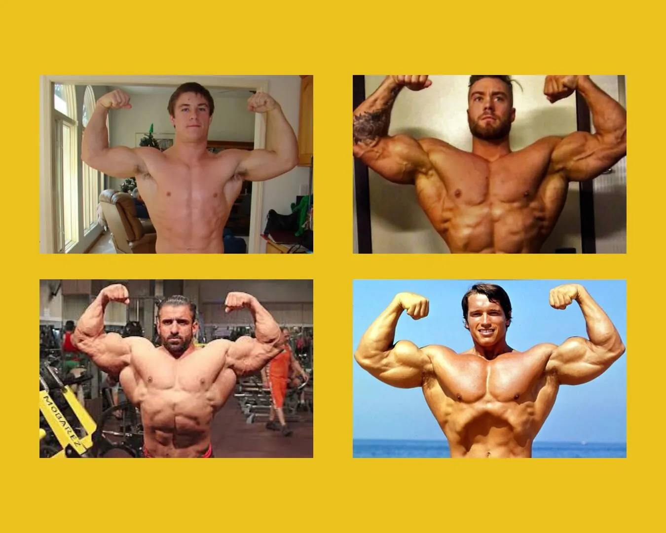 front double bicep pose examples