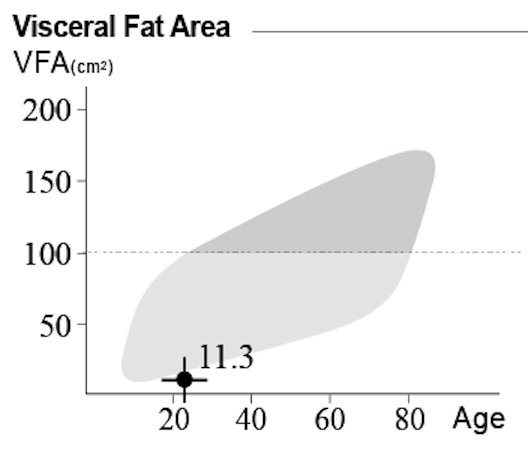 visceral-fat-area-read-inbody