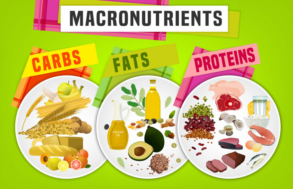 which are the 3 macronutrients