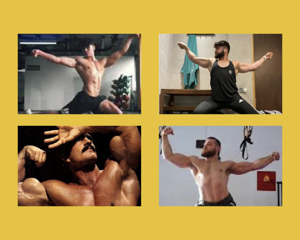 Icarus pose examples