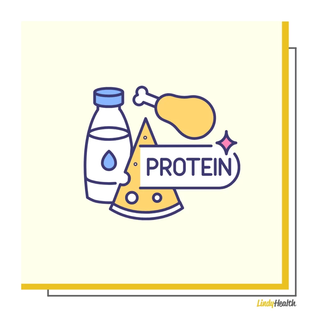 bodybuilding protein macros