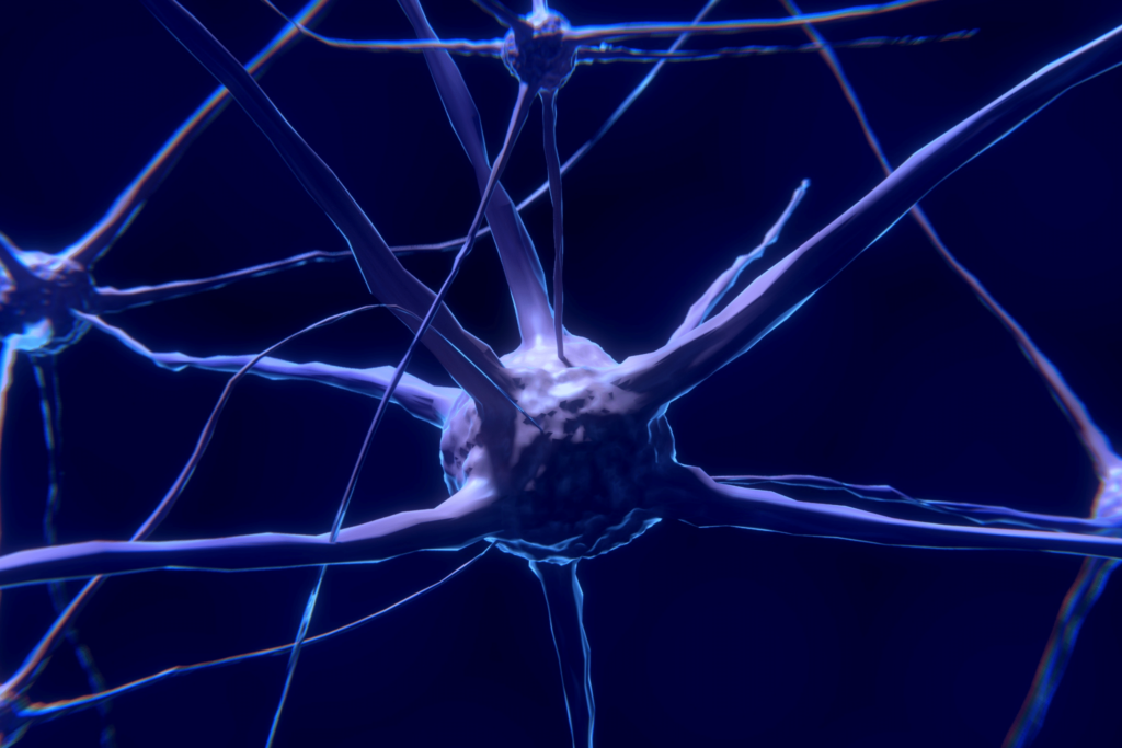 neuriva brain health